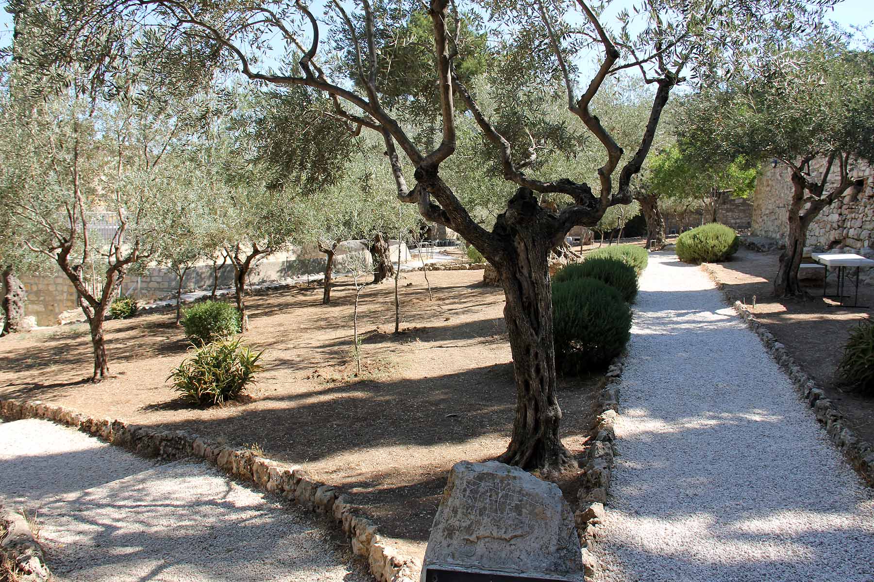 Gethsemane image 3